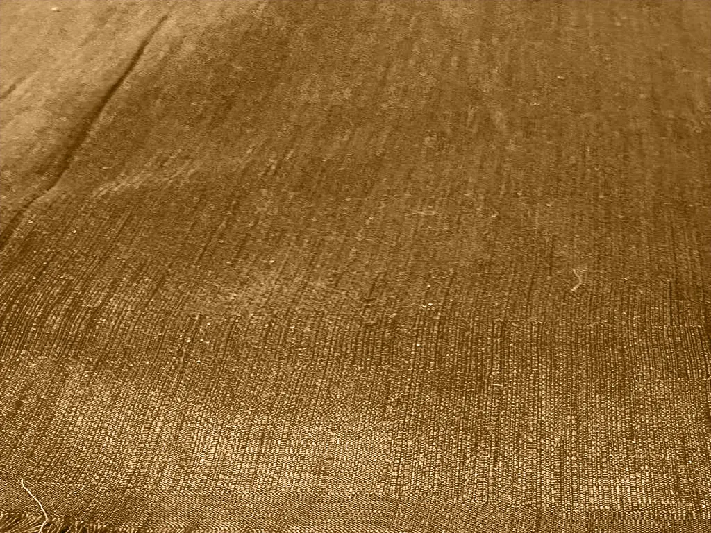 Golden Plain Bangalore Raw Silk Fabric